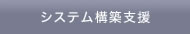 システム構築支援
