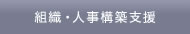 組織・人事構築支援